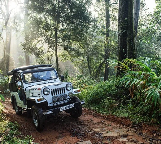 A safari jeep in a tropical landscape