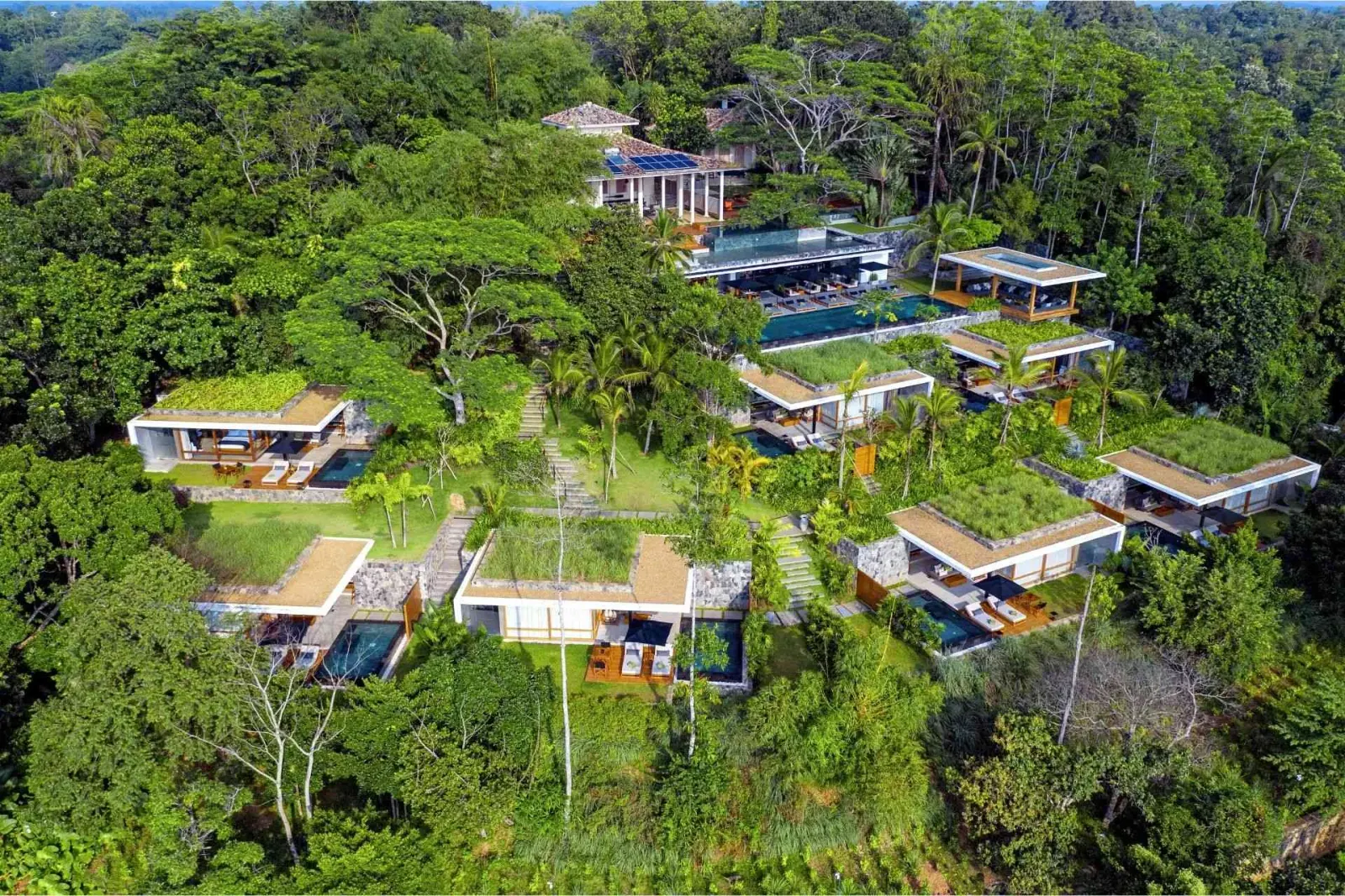 Aerial view of Haritha Villas + Spa surrounded by tropical forest in Hikkaduwa